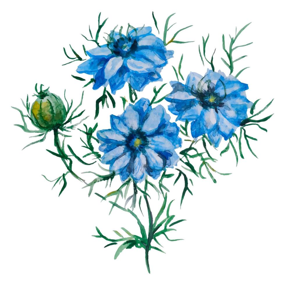 waterverf nigella bloem. vector