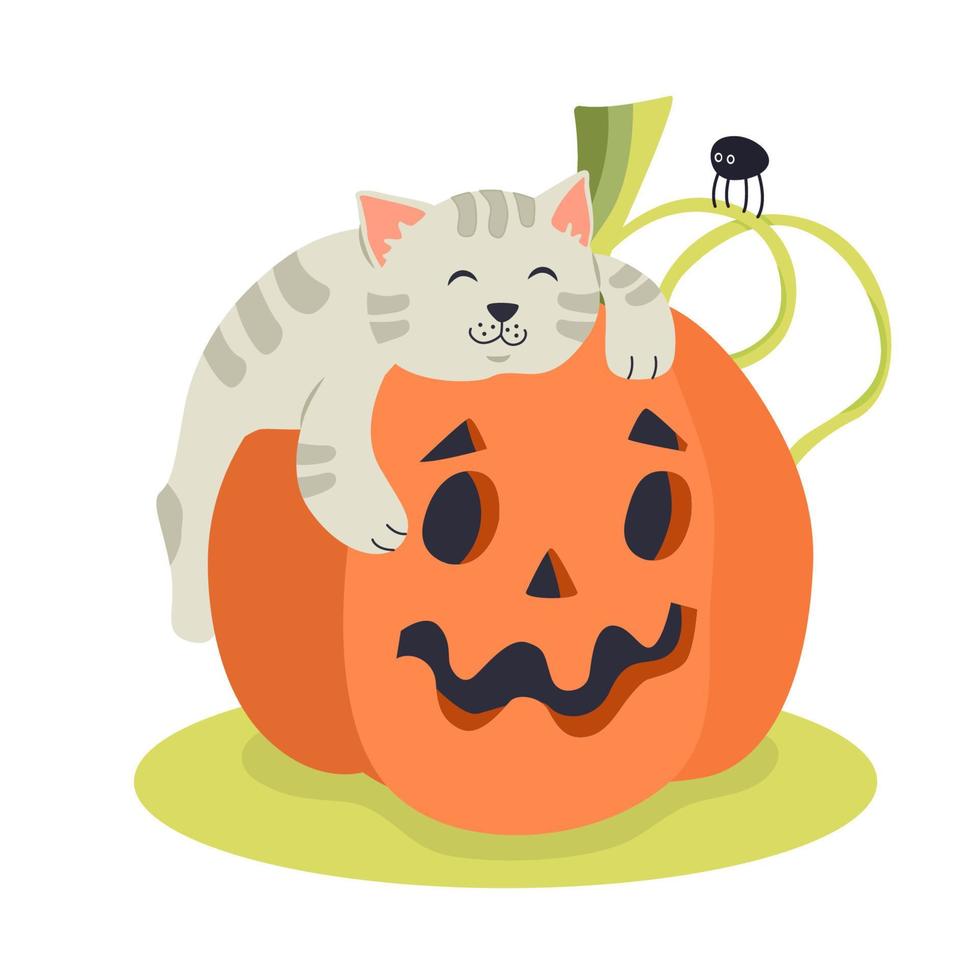 schattig slapen katje Aan jack-o-lantern pompoen. hand- getrokken vector illustratie. Super goed voor creëren halloween affiches, groet kaarten