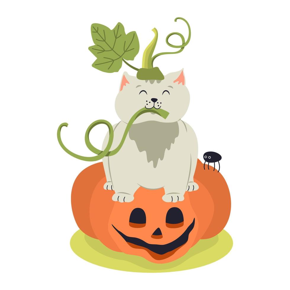 grappig katje en jack-o-lantern pompoen. hand- getrokken vector illustratie. Super goed voor creëren halloween affiches, groet kaarten