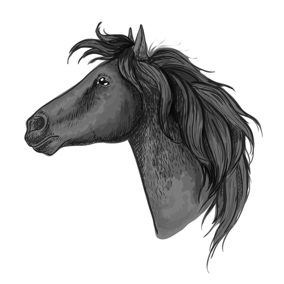 zwart paard hoofd schetsen portret vector