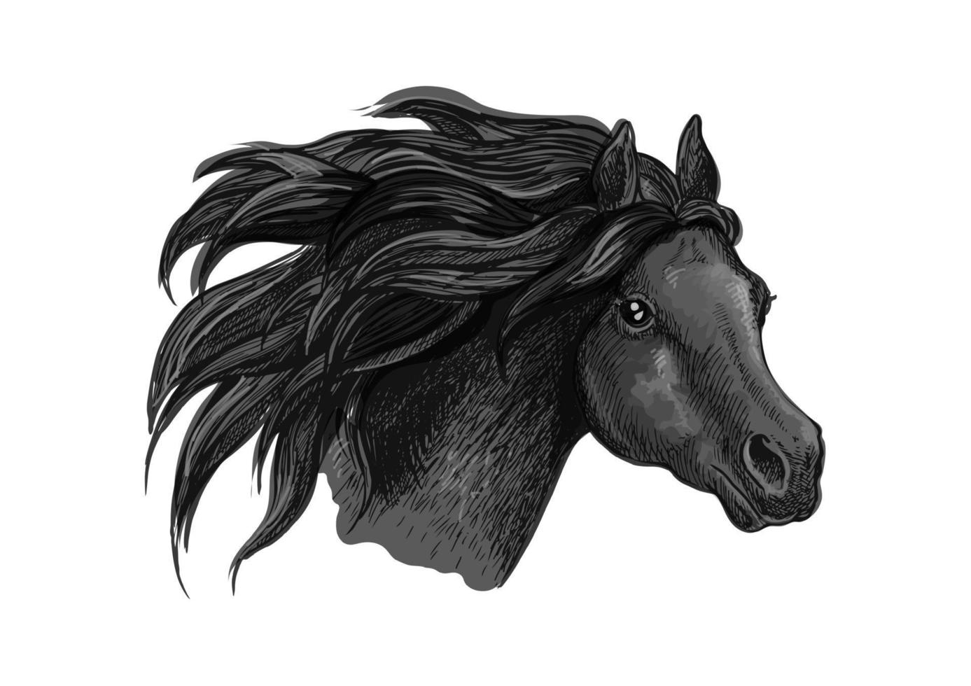zwart mustang paard schetsen portret vector