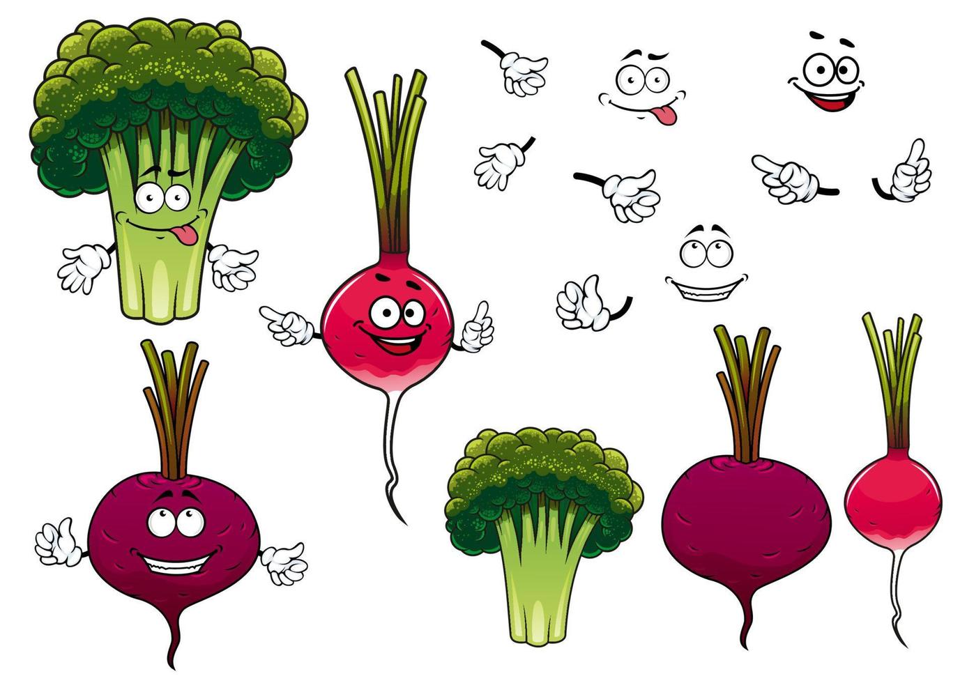 broccoli, radijs en biet groenten vector