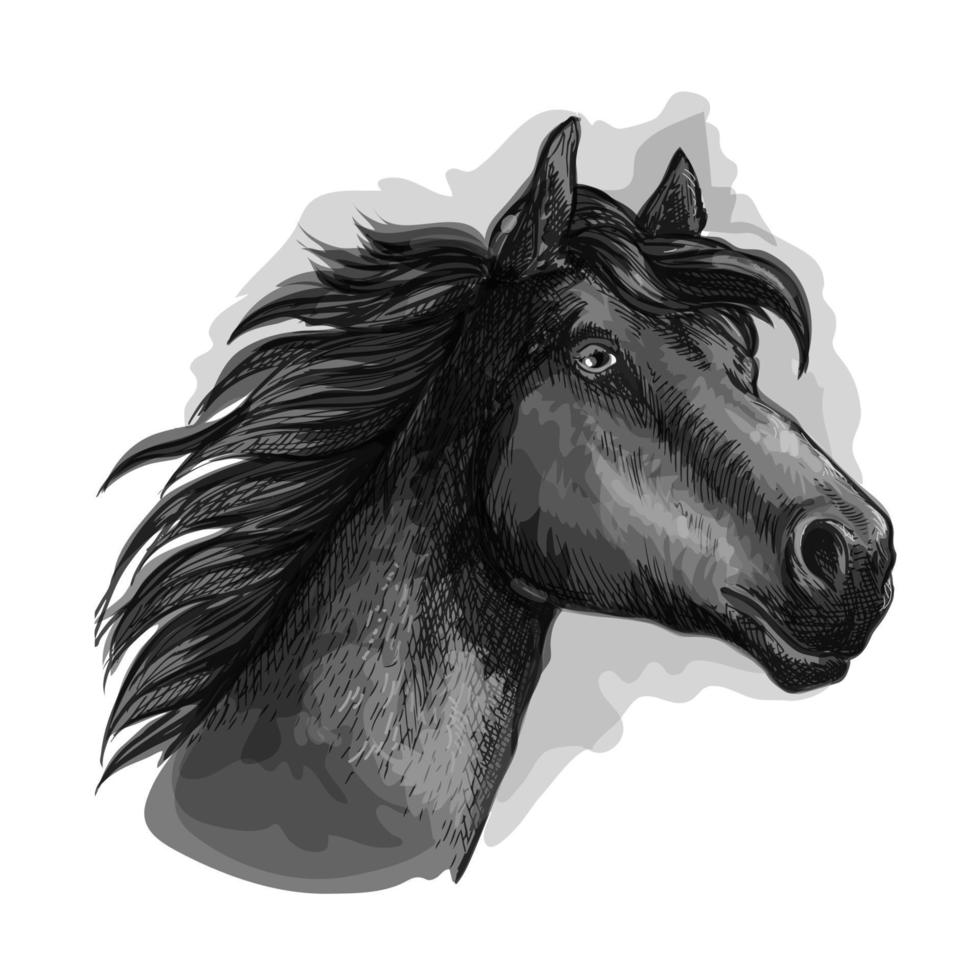 zwart paard hoofd schetsen portret vector