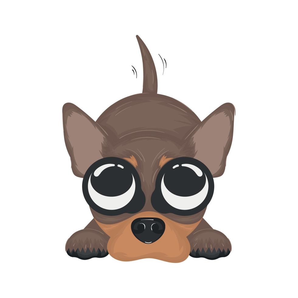 geïsoleerd schattig chihuahua hond tekenfilm karakter vector illustratie