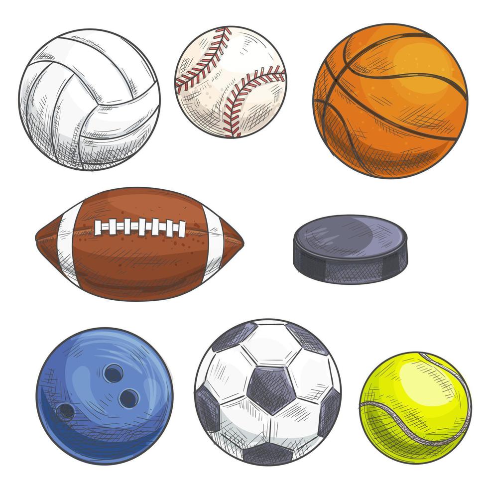 sport ballen set. hand- getrokken kleur potlood schetsen pictogrammen. vector