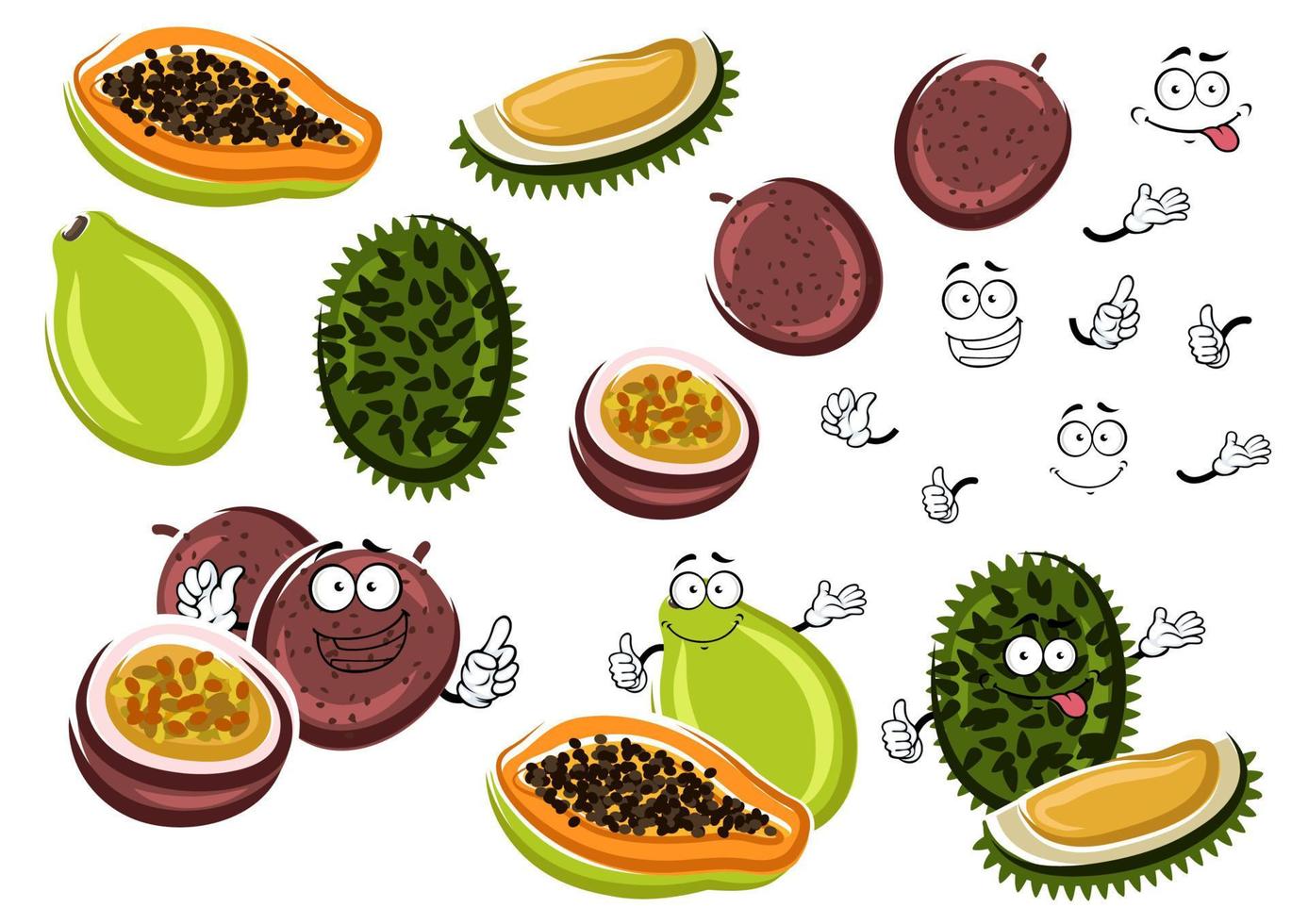 papaja, maracuja en durian fruit vector