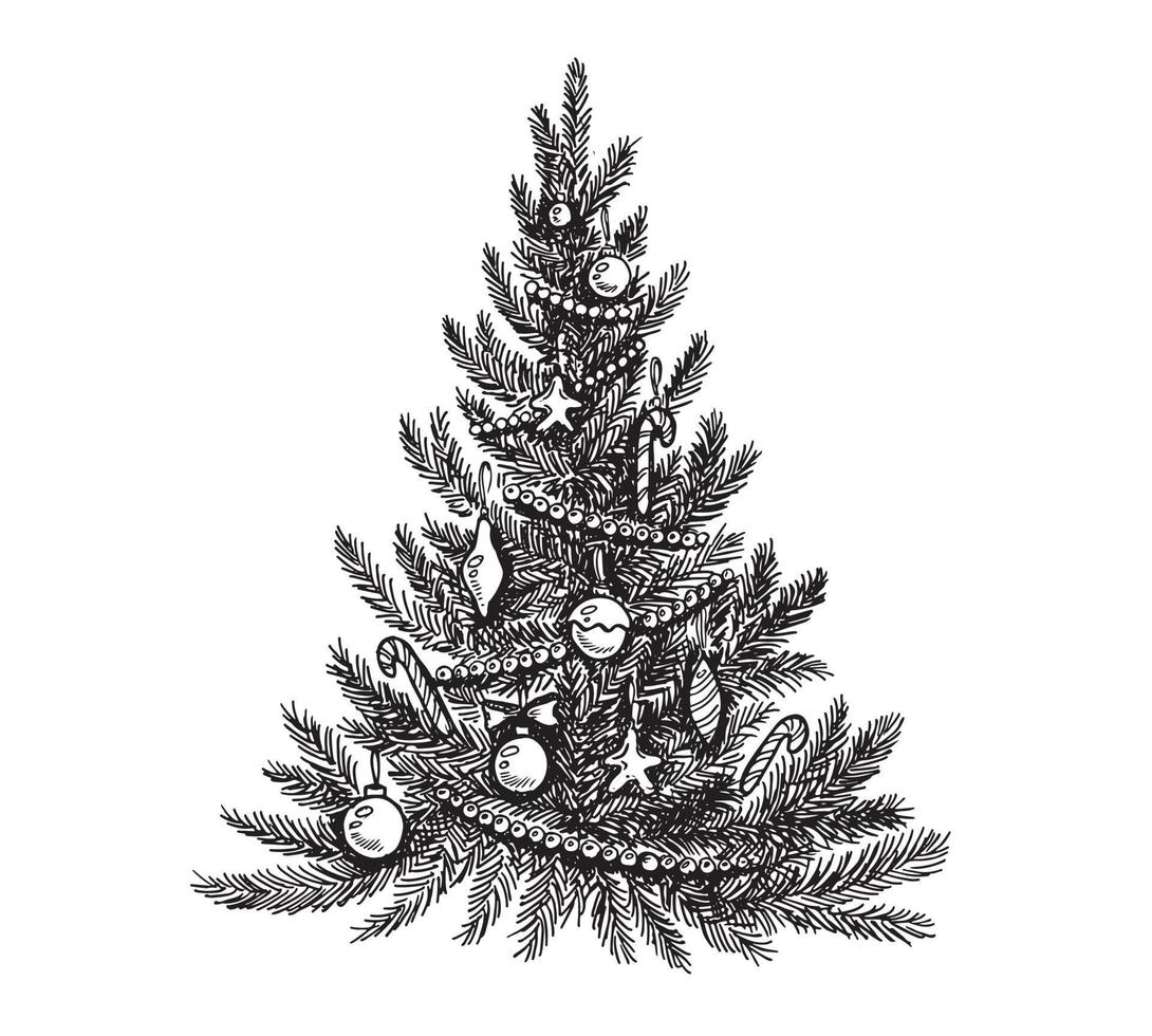 kerstboom set, met de hand getekende illustraties. vector