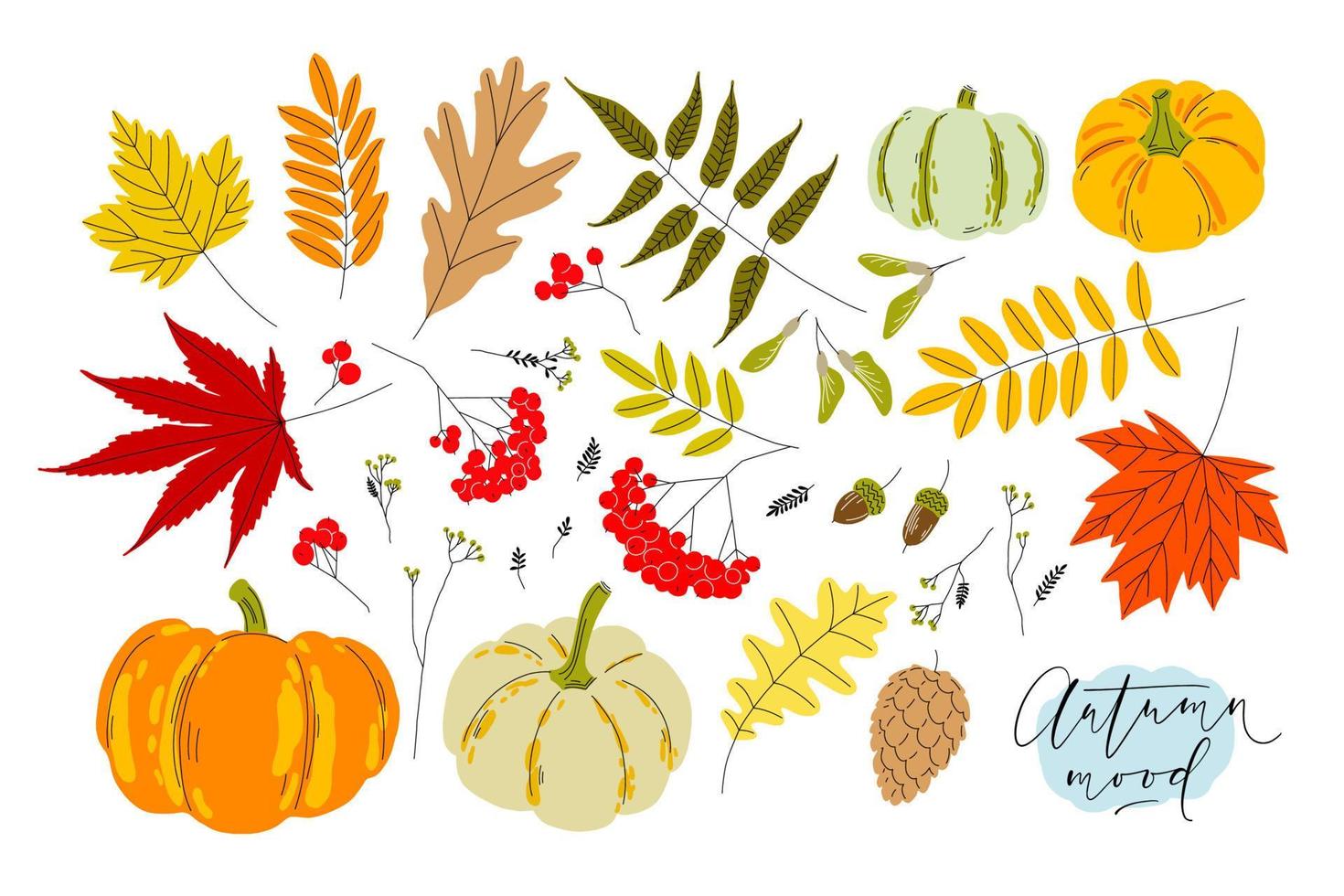 reeks van kleurrijk herfst bladeren, bessen, pompoenen, eikels en zaden. geïsoleerd cliparts Aan wit achtergrond. gemakkelijk vlak stijl vector illustraties.