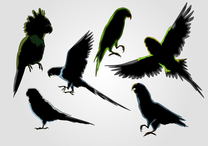 Budgie silhouet vector set