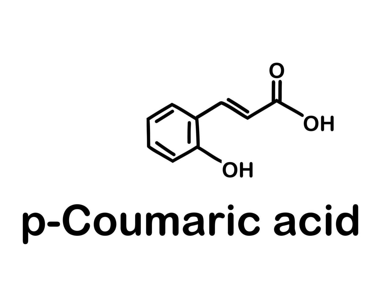 p-coumarine zuur is een biologisch verbinding met de formule hoc6h4ch hco2h. chemisch structuur van p-coumarine zuur. vector illustratie