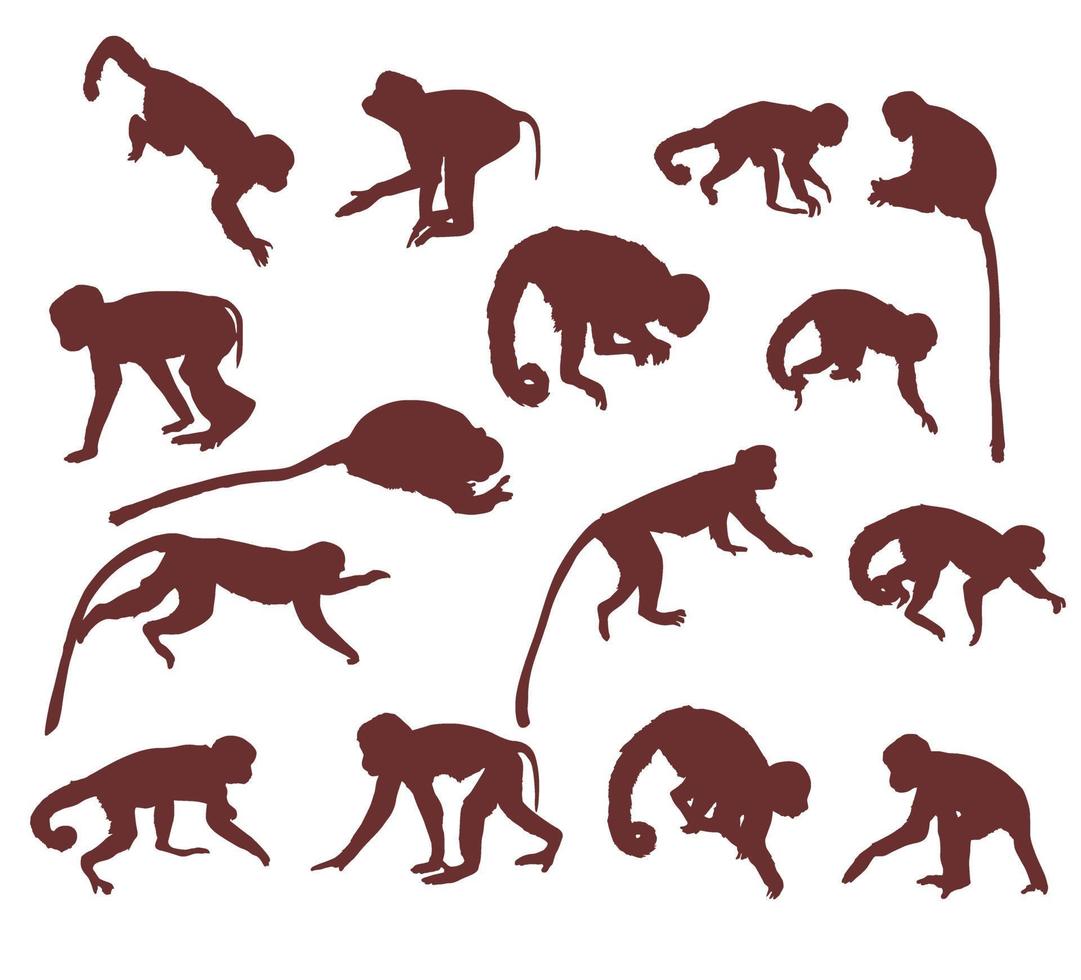 een reeks van aap silhouetten vector