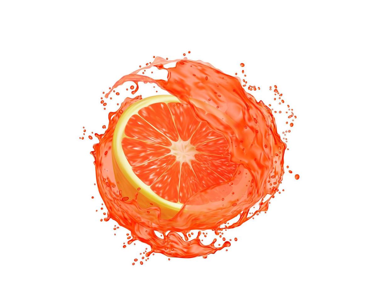 grapefruit fruit plak met vers sap plons vector