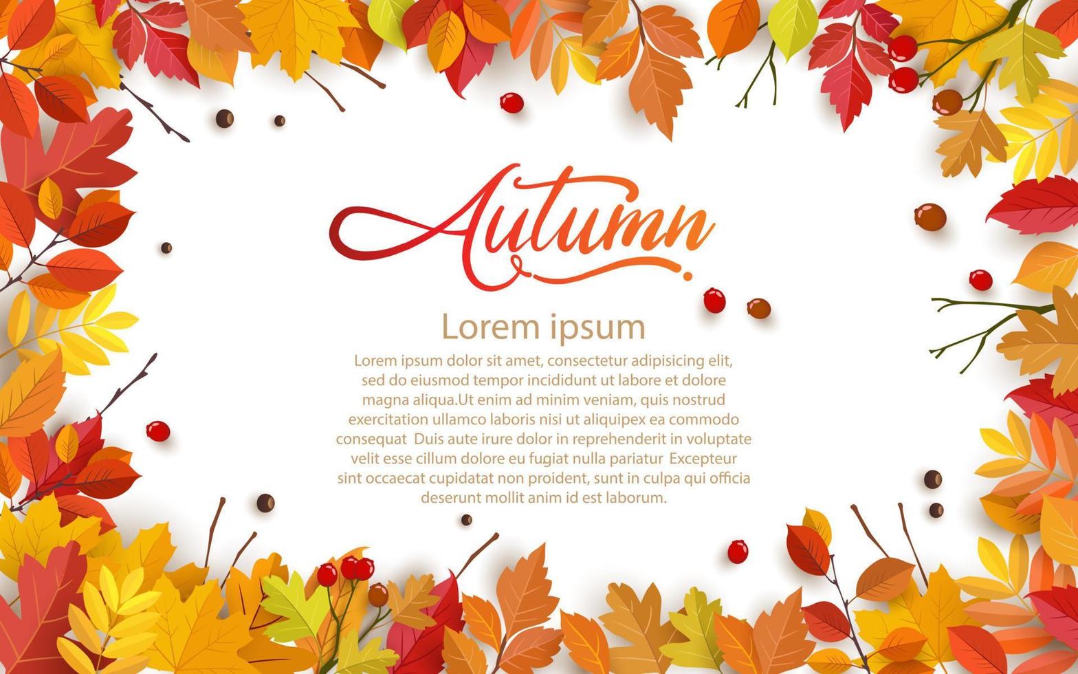 herfst achtergrond ontwerp met bladeren. achtergrond, banier of sjabloon ontwerp vector