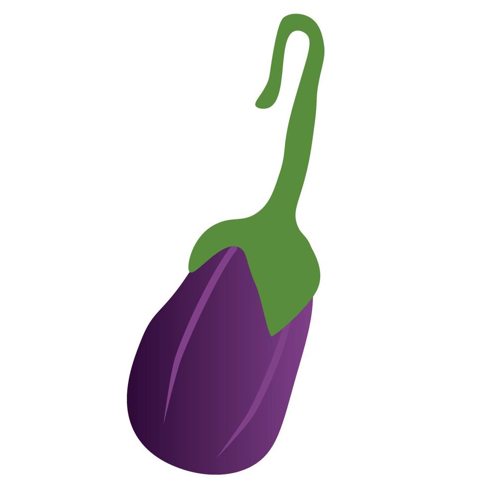 aubergine vector illustratie. aubergine tekenfilm. vers aubergine icoon