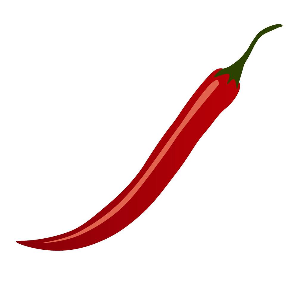 Chili peper vector. vector