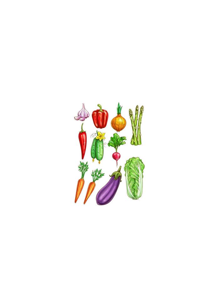 groenten vector schetsen geïsoleerd pictogrammen