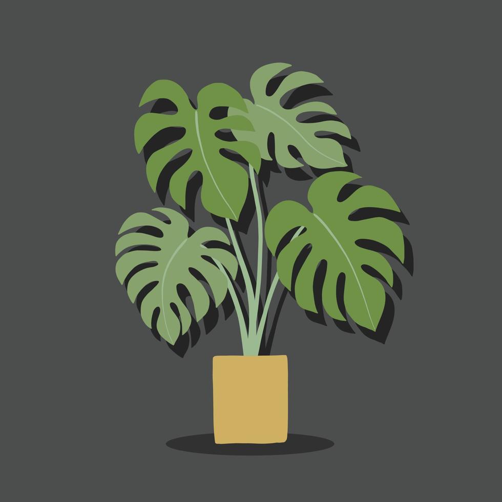 eenvoud monstera plant uit de vrije hand tekenen plat ontwerp. vector