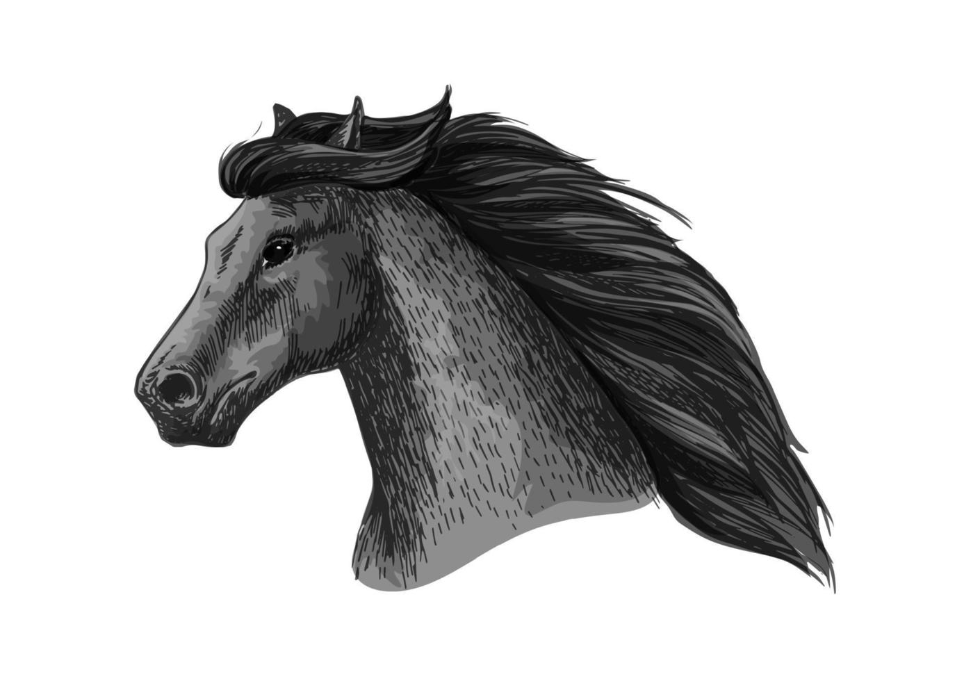 paard hoofd van rennen mustang vector schetsen