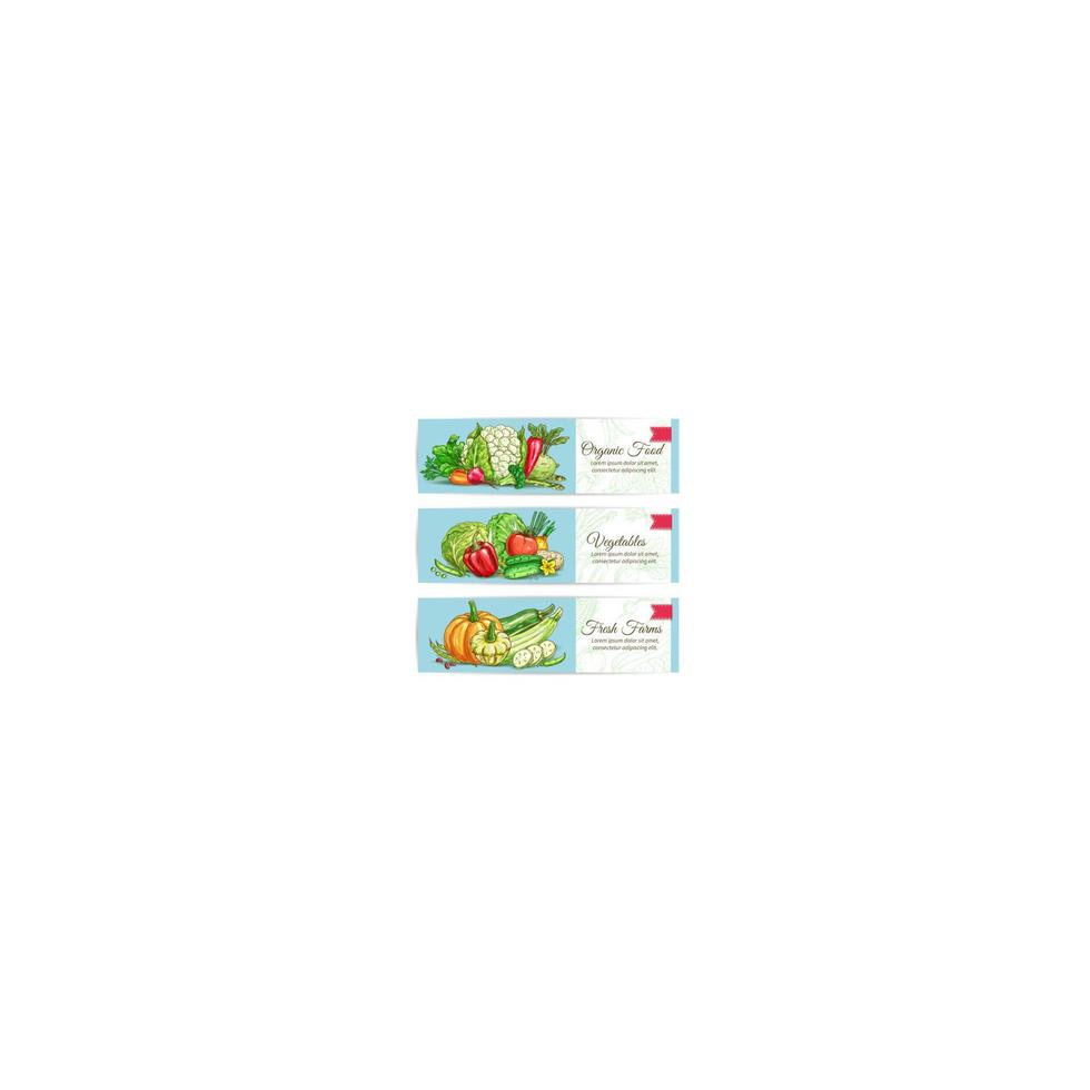 biologisch groenten vegetarisch banners reeks vector