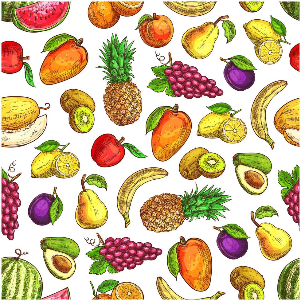 fruit naadloos patroon met schetsen fruit pictogrammen vector