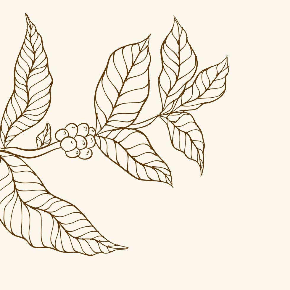 koffie boom vector. vector illustratie van koffie Afdeling. koffie fabriek Afdeling met blad. hand- getrokken koffie Afdeling. koffie bonen en bladeren. boom illustratie. koffie fabriek.
