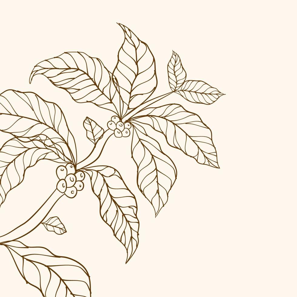 koffie boom vector. vector illustratie van koffie Afdeling. koffie fabriek Afdeling met blad. hand- getrokken koffie Afdeling. koffie bonen en bladeren. boom illustratie. koffie fabriek. Afdeling met bladeren.