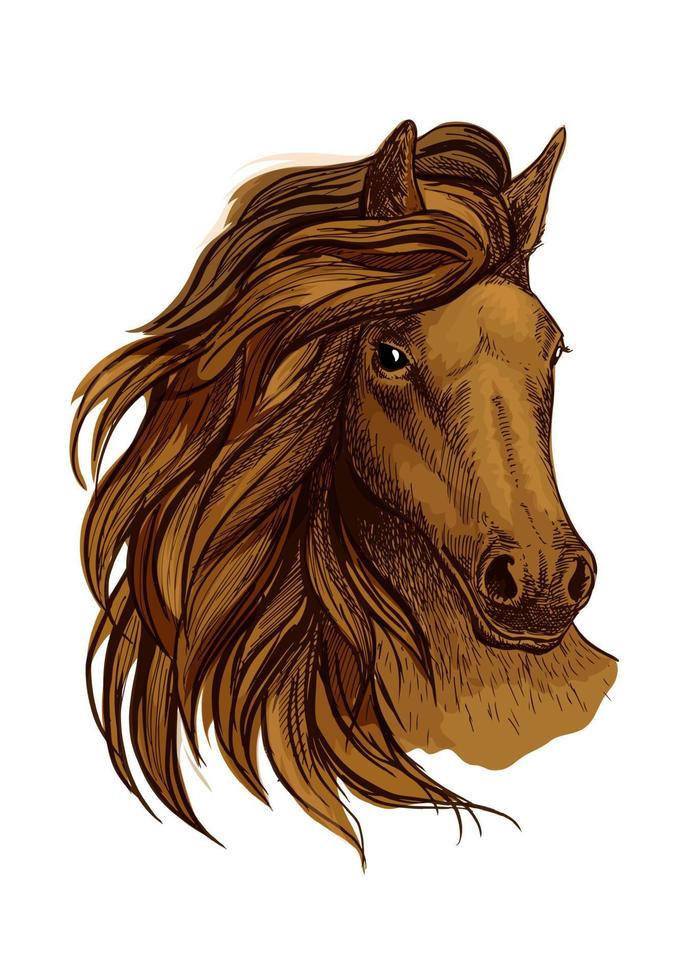 Arabisch bruin paard portret vector