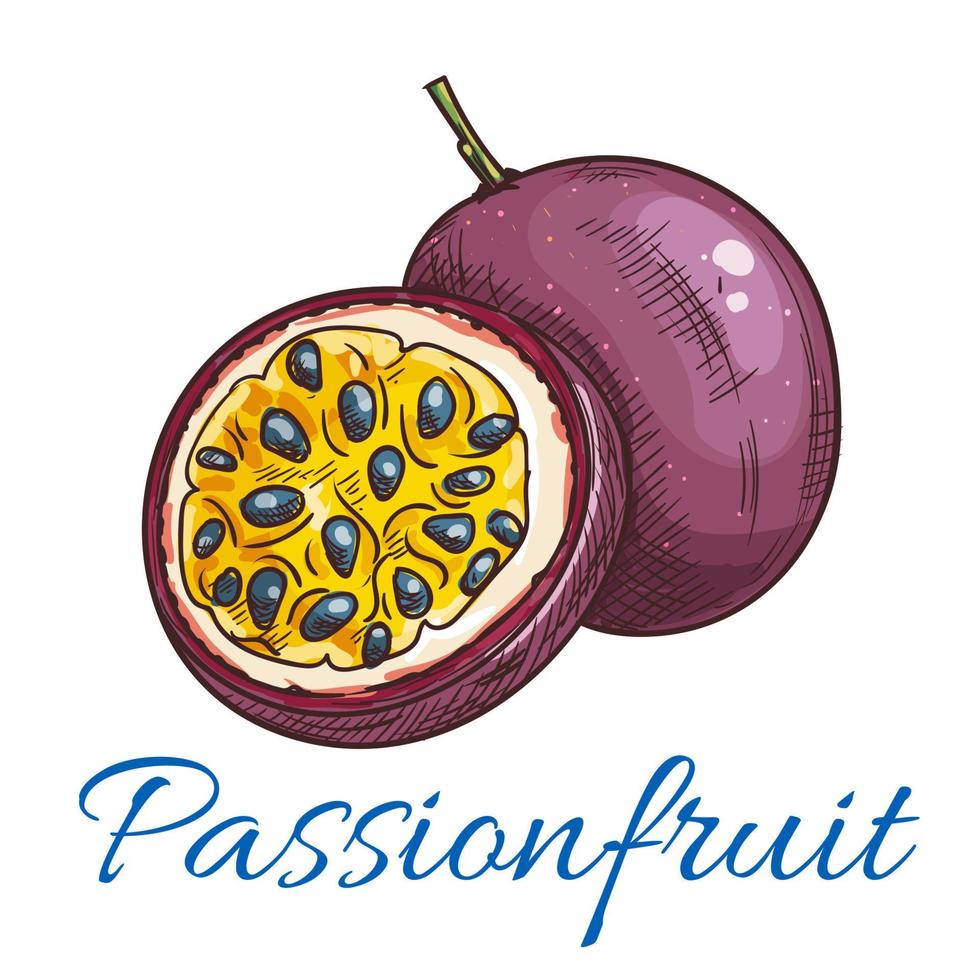 passie fruit vector kleur schetsen icoon