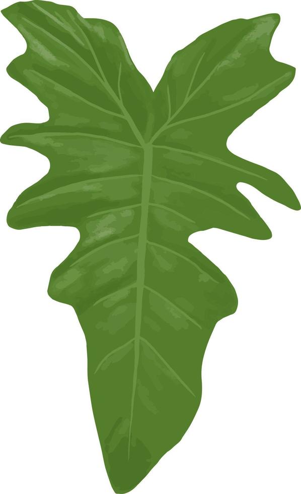 philodendron blad tekeningen, groen blad geïsoleerd vector, illustratie, minimalistische plant, voor het drukken of huis decor. vector