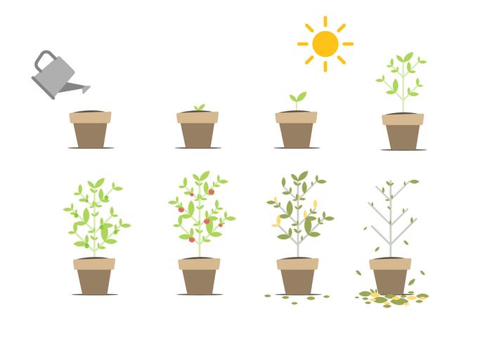 Gratis Grow Up Vector