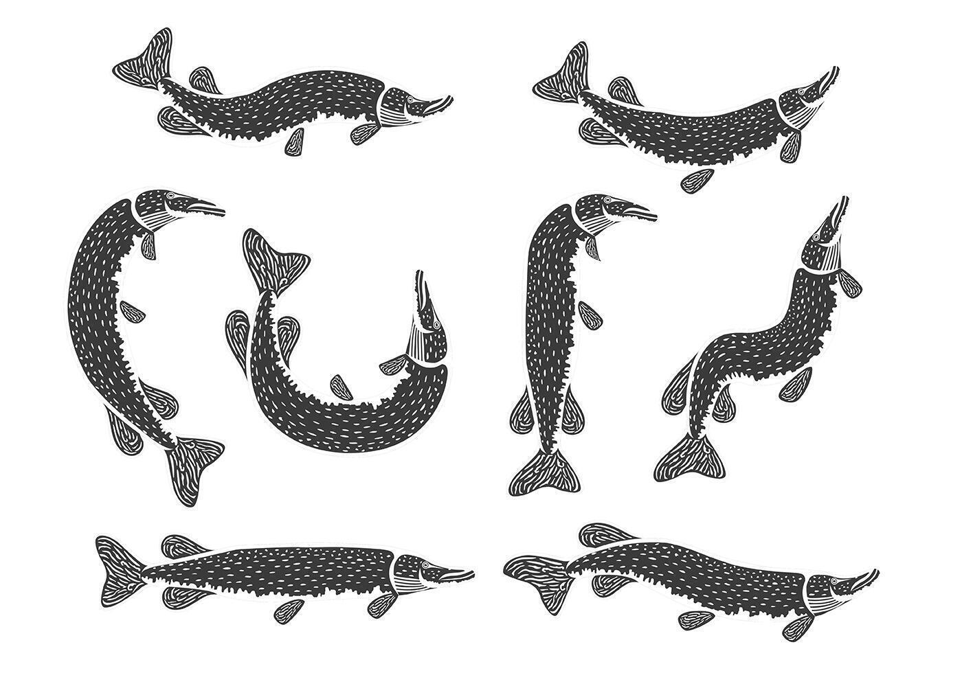 Pike Vector Pictogrammen