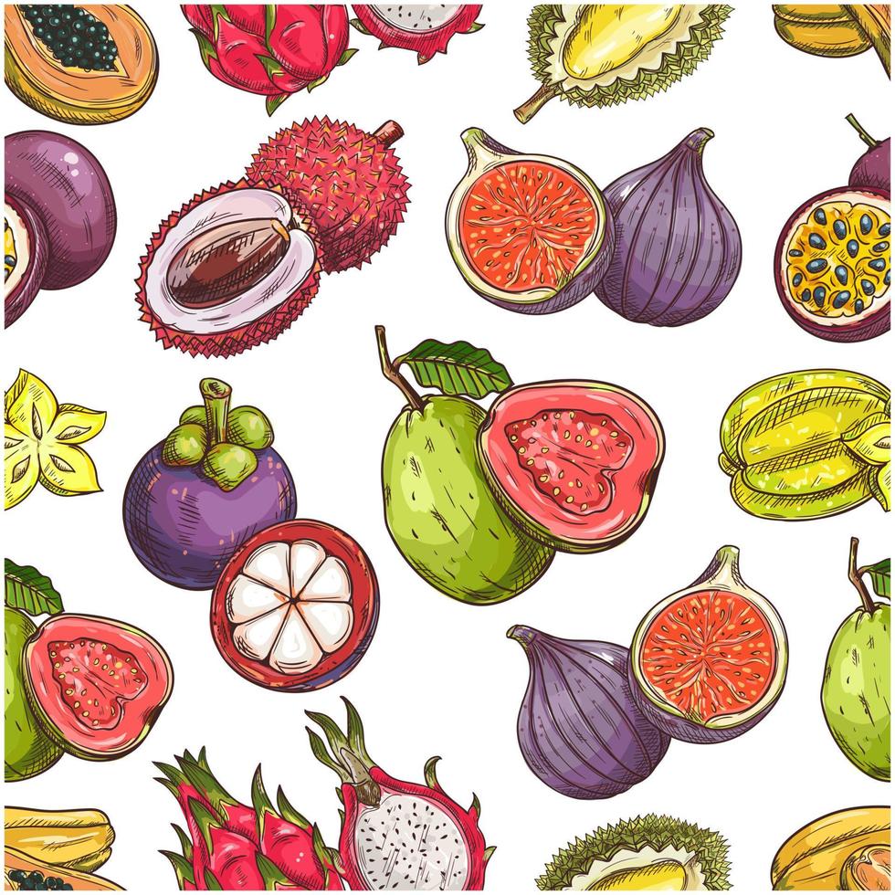 exotisch tropisch fruit naadloos patroon vector