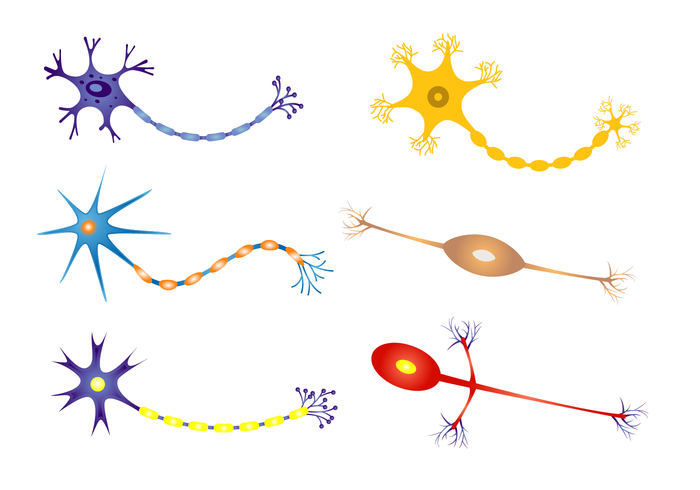 Gratis Neuron Vector