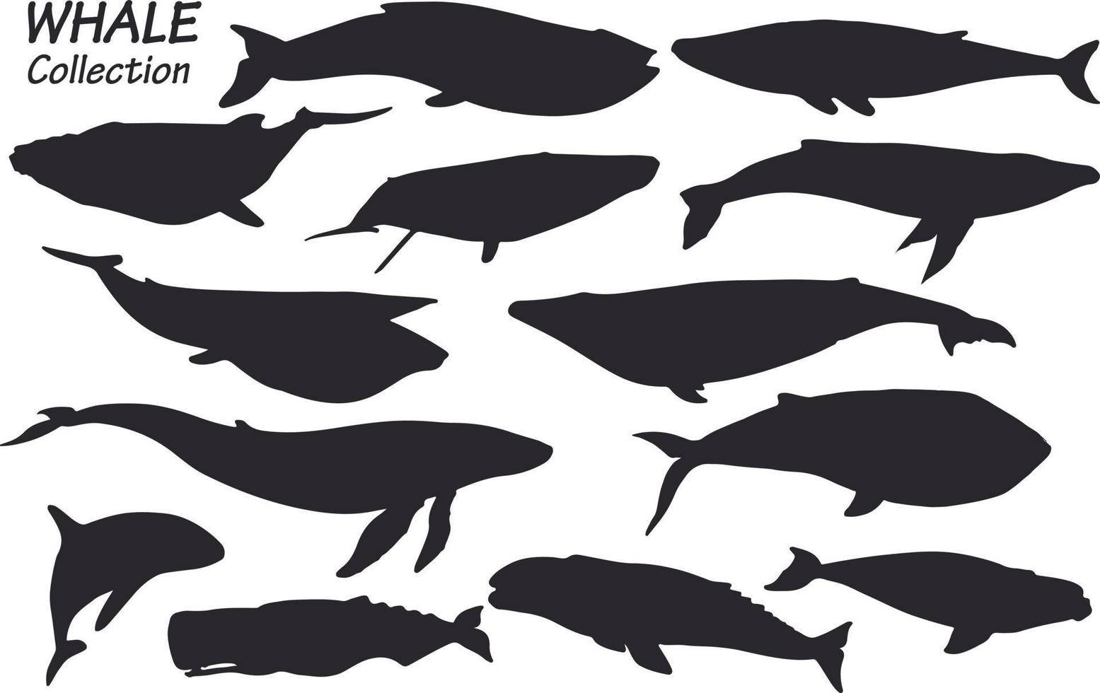 walvis silhouetten reeks vector