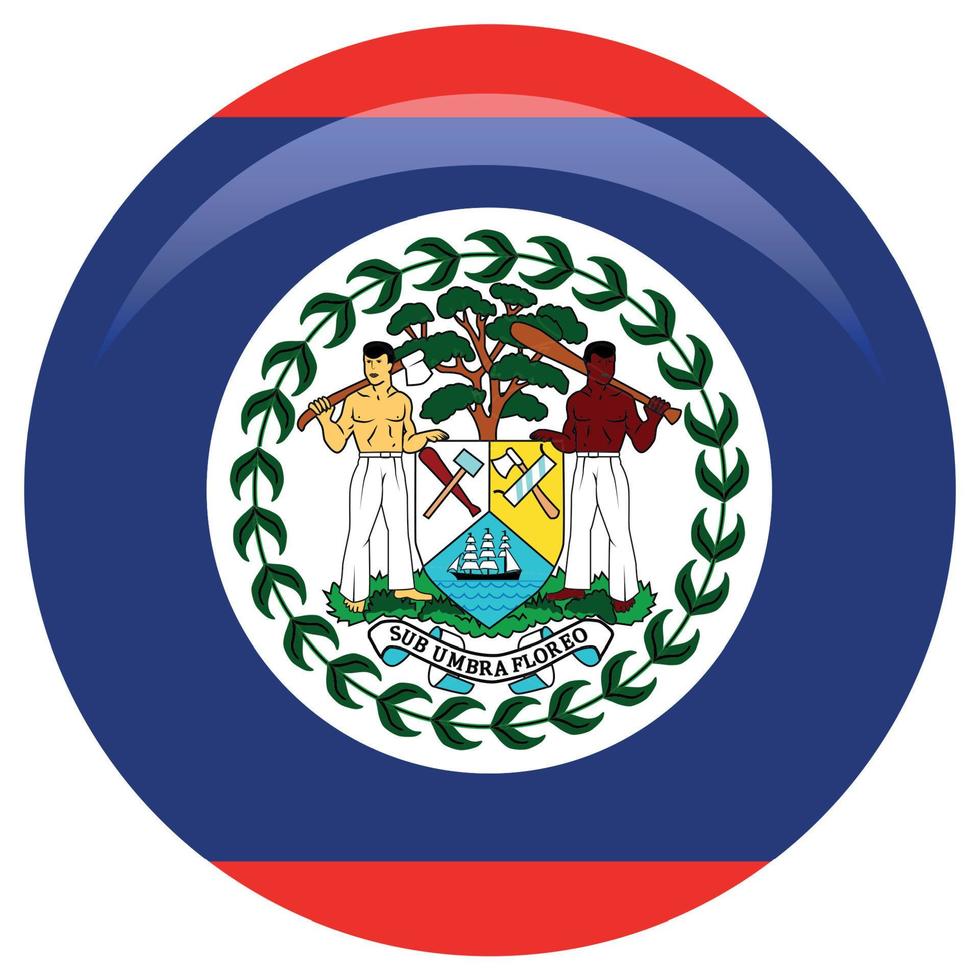 vlag van belize. accuraat dimensies, element proporties en kleuren vector