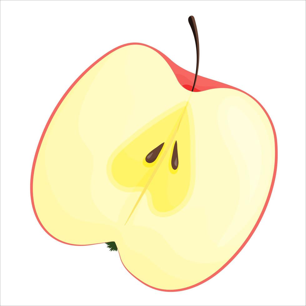 voor de helft een appel. vector illustratie geïsoleerd Aan wit achtergrond.