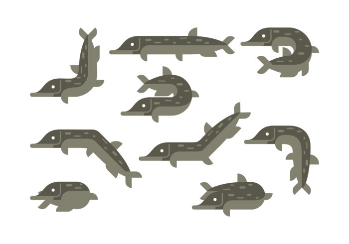 Pike Vector Pictogrammen