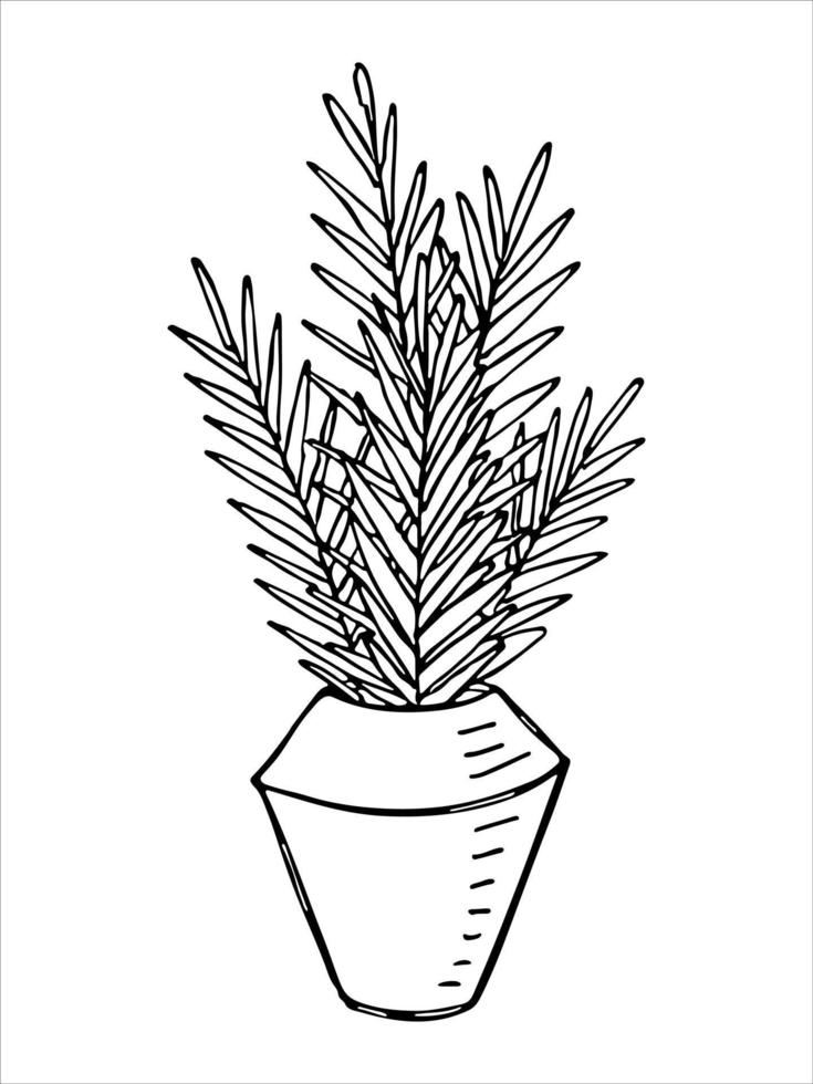 schattige handgetekende kamerplant in een pot clipart. plant illustratie. gezellige huiskrabbel vector