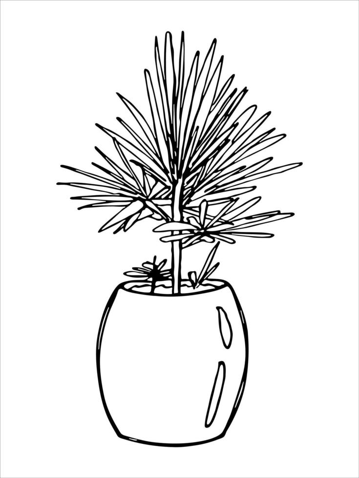 schattige handgetekende kamerplant in een pot clipart. plant illustratie. gezellige huiskrabbel vector