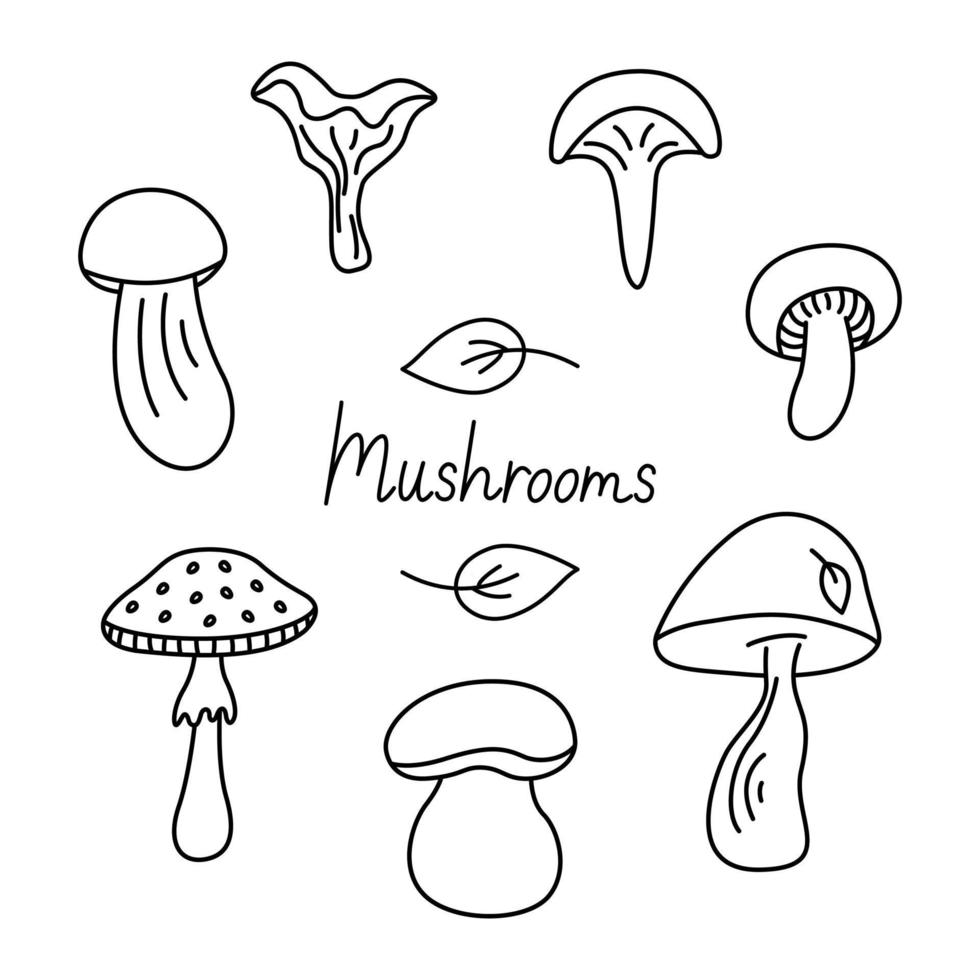 champignons groovy tekening tekenfilm set. verschillend types van champignons herfst verzameling. zwart schets geïsoleerd Aan een wit achtergrond. hand- getrokken schattig lineeur vector illustratie.