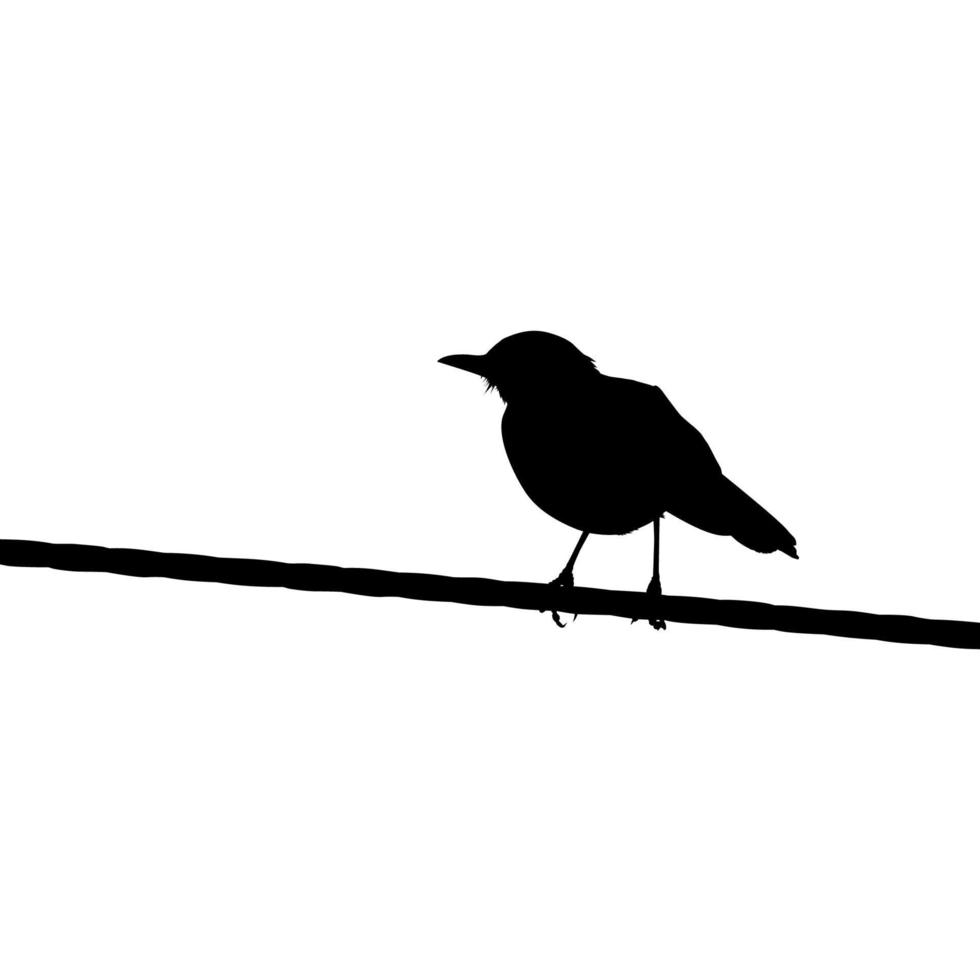 silhouet van de staand vogel Aan de elektrisch draad baseren Aan mijn fotografie. vector illustratie