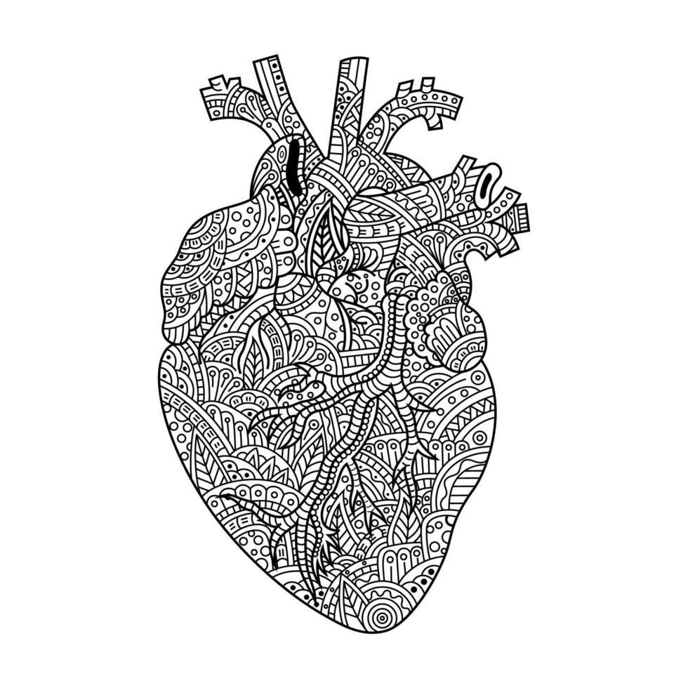 hart lijntekeningen vector