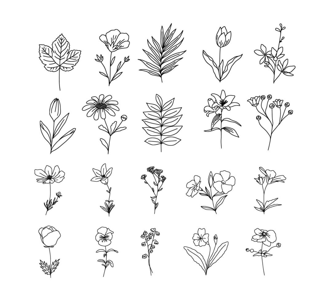 bloemen Afdeling en minimalistische bladeren voor logo of tatoeëren. hand- getrokken lijn bruiloft kruid, elegant wilde bloemen. minimaal lijn kunst tekening voor afdrukken, Hoes of behang vector