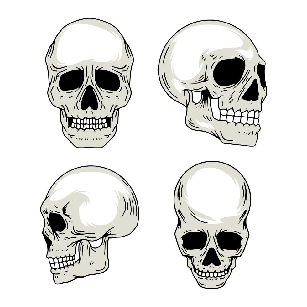 hand- getrokken realistisch schedels reeks vector