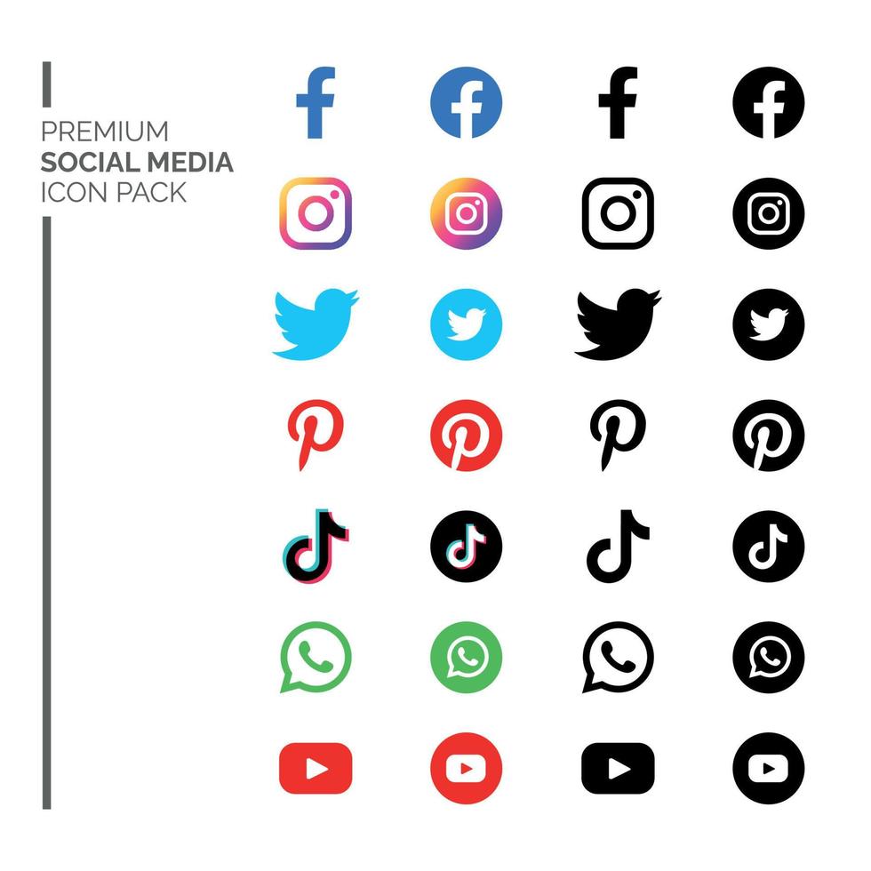 sociaal media icoon pak. sociaal media logo verzameling. facebook, instagram, twitteren, pinterest, tiktok, whatsappen, youtube. vector