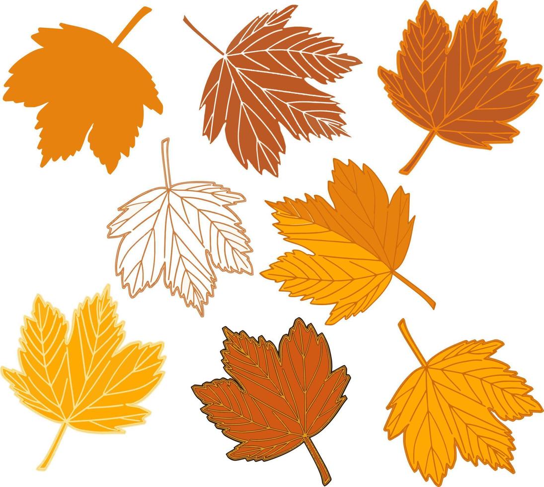 herfst esdoorn- bladeren reeks vector