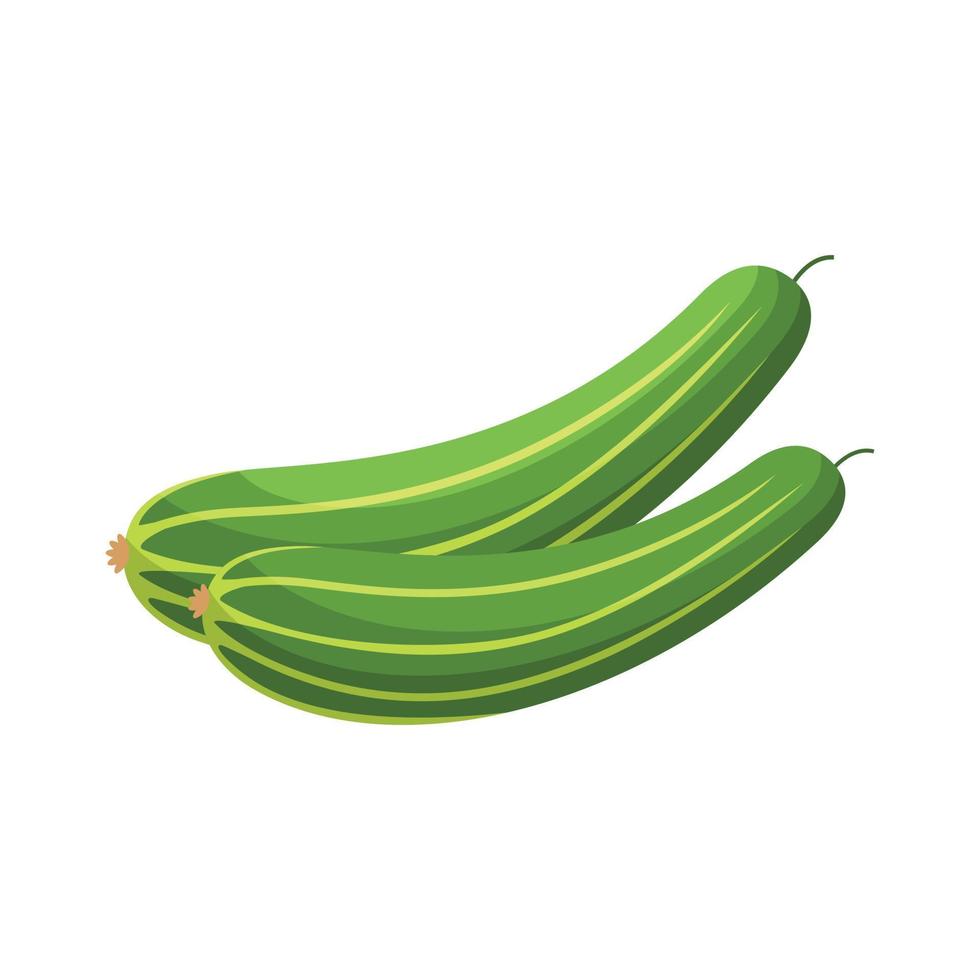 komkommer vlak ontwerp klem kunst vector illustratie geïsoleerd Aan een wit achtergrond