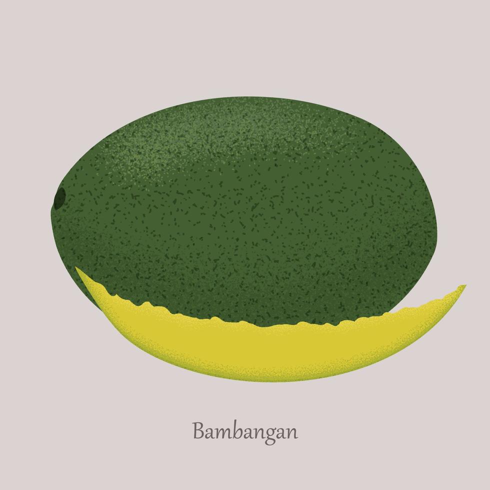 bambangan exotisch sappig fruit geheel en snee. vector geïsoleerd icoon bambang, mangifera pajang Aan grijs achtergrond. tropisch eetbaar voedsel.