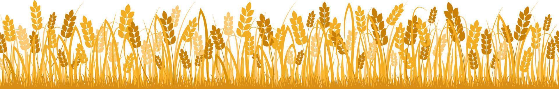 cartoon gele tarweveld achtergrond geïsoleerd op wit. gouden herfst oogst haver graan natuurlijke landelijke weide boerderij landbouw landschap achtergrond platte vectorillustratie vector