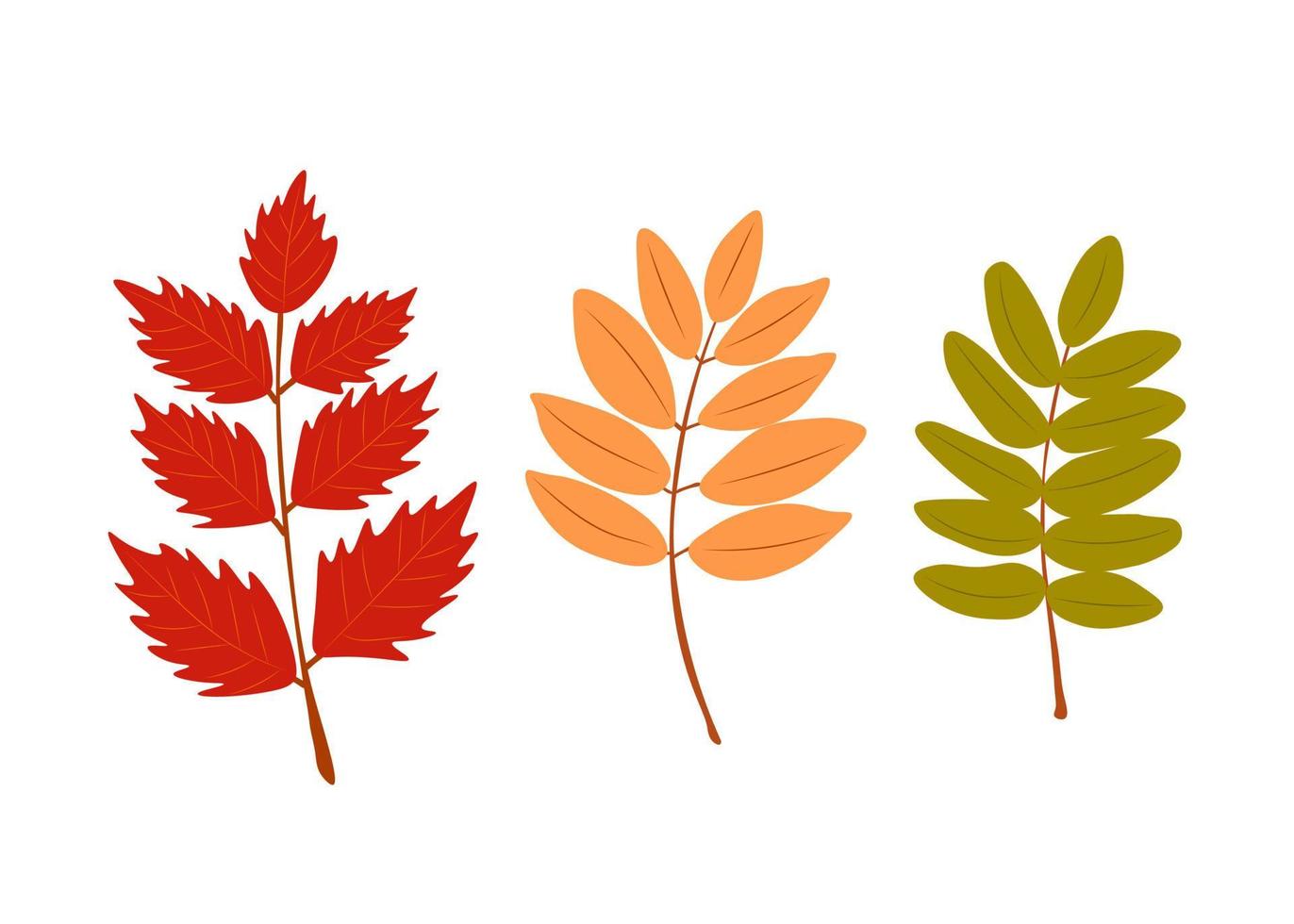 een groot reeks van bladeren in herfst kleuren vector